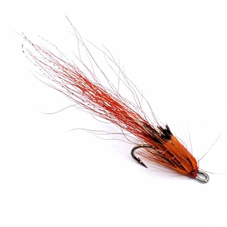 FFN Ally Shrimp