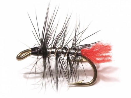 ZULU SILVER PALMER BLACK