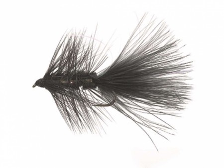 FLASH A' BUGGER BLACK