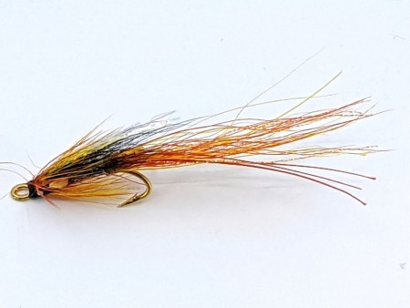 FFN Cascade AJC 